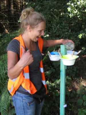 Insekten 1000 m 3-4