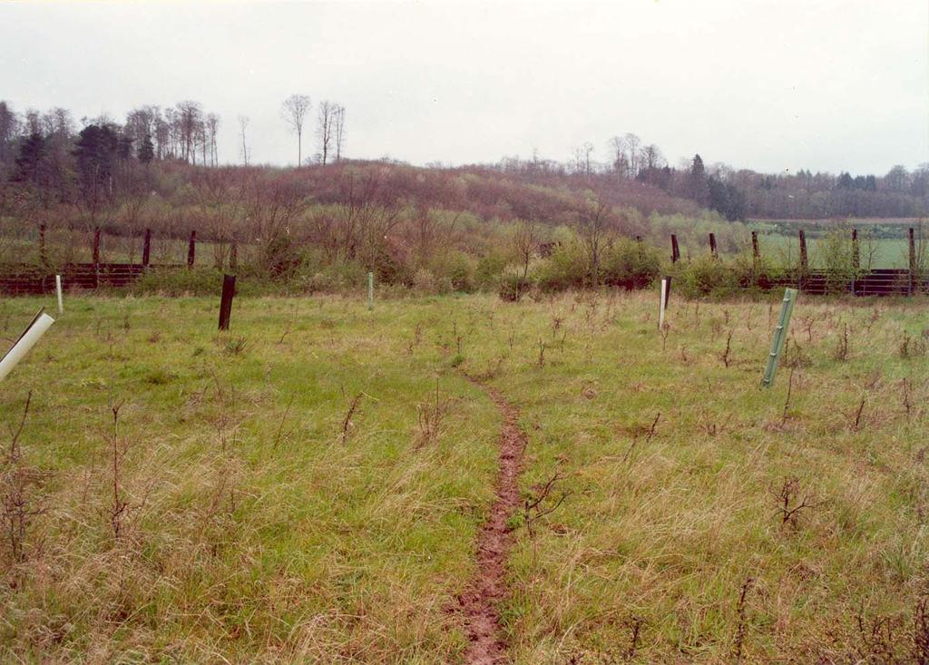 ZELENÝ MOST U