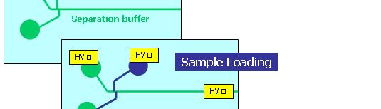 CE a HPLC na čipu CE - Shimadzu systém MultiNA Agilent HPLC-Chip / MS