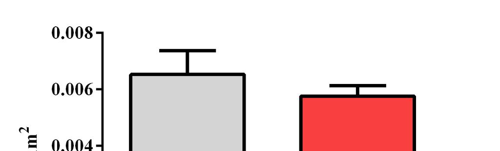 12.3 Stereologická analýza exprese enos v arteria brachiocephalica Stereologická analýza neprokázala statisticky významné rozdíly