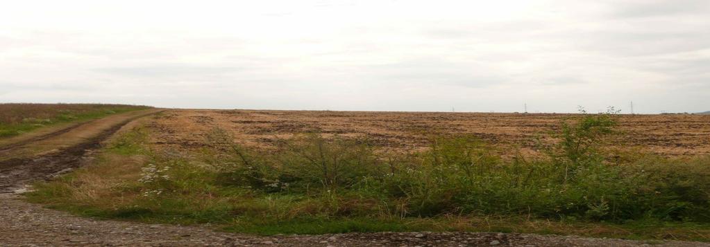 c) daňového řádu rozhodnuto, že prodejem v dražbě nezaniknou: - na nemovitých věcech neváznou práva a závady, které prodejem v dražbě nezaniknou c) Výsledná cena předmětu dražby: 130.