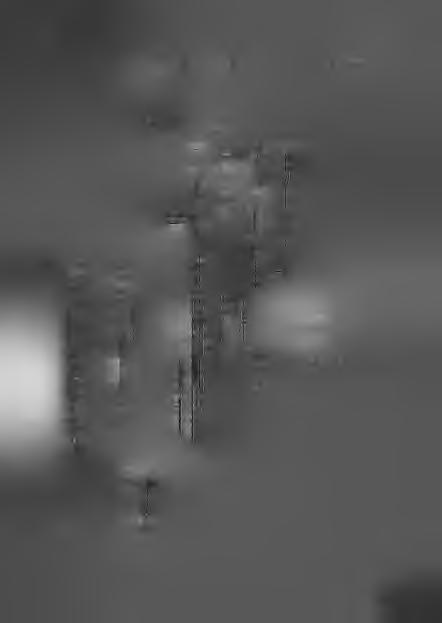 obr. 33