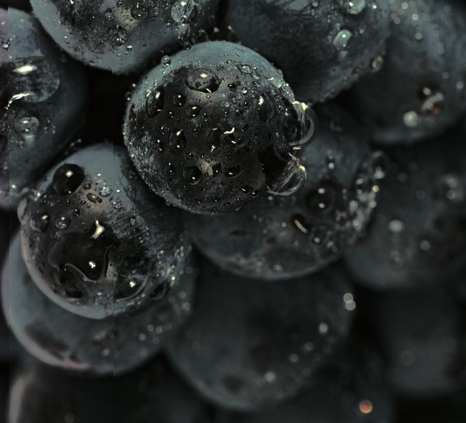 VINAR