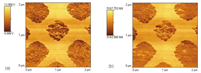 Co nad vlastním oxidem (obrázek 10). Kromě toho se na základě detailních topografických měření podařilo zmapovat vliv povrchové migrace Co atomů na selektivní růst.