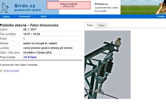 Rozvoj faunistické databáze avif.birds.cz propagace sledování ptáků a zaznamenávání pozorování V propagaci pozorování a zaznamenávání ptáků do birds.