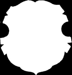 Městská část