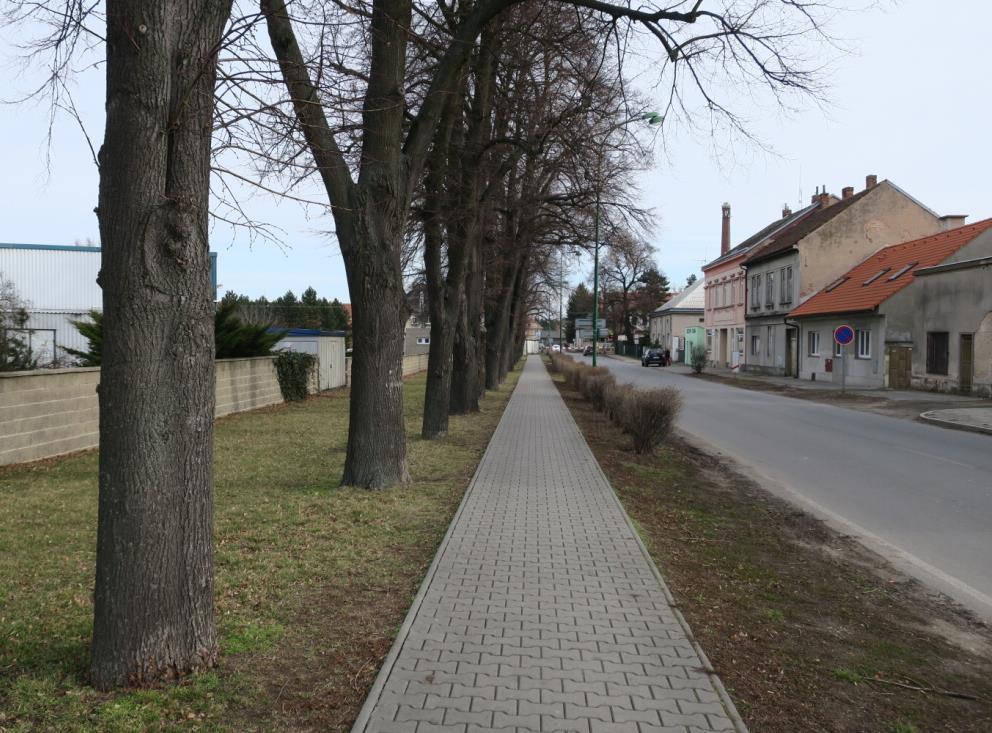 Opravdu nedošlo k poškození kořenů?