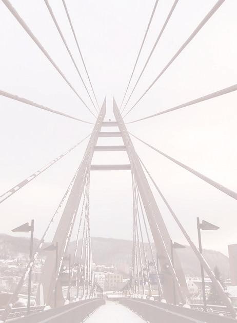 Městský rezervační rva systém sté www.vstupenkyusti.cz w.
