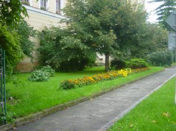 tělocvična  silnice Škola je
