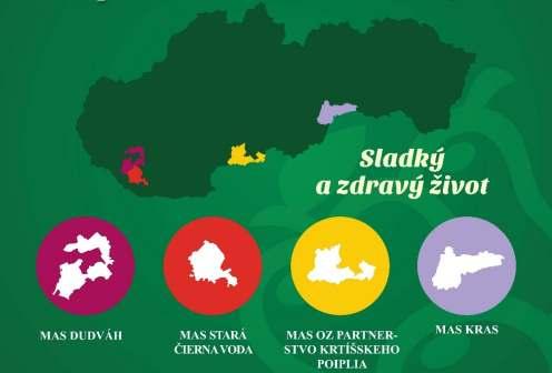 Miestna akčná skupina Dudváh Miestna akčná skupina Stará Čierna
