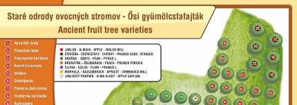 Miestna akčná skupina Dudváh Miestna akčná