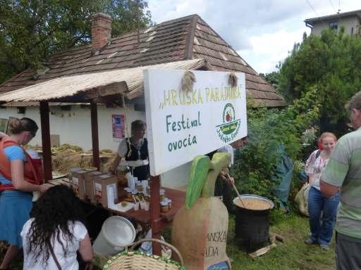 Miestna akčná skupina Dudváh Miestna akčná skupina Stará Čierna voda (Local Action