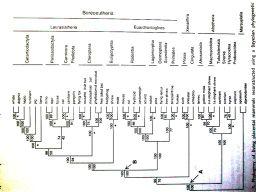 Murphy et al. 2001 Přelom 20.a21.