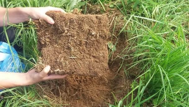 Kromě externího ozáření, způsobeného depozicí vyšších koncentrací rádia ve svrchní vrstvě půdy, byl předmětem výzkumu především odhad interního ozáření v důsledku konzumace v řetězci