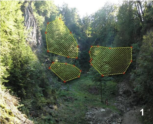 8) otevřená suť 9) listnatá sukcese- iniciální