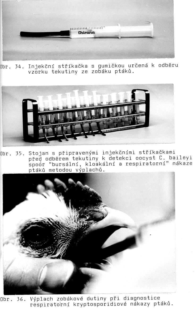 upozorňujeme proto, že do parazitologické laboratoře posílají chovatelé mnohdy pouze části střevního traktu, čímž nelze zaručit úplnost zjištěných nálezů.