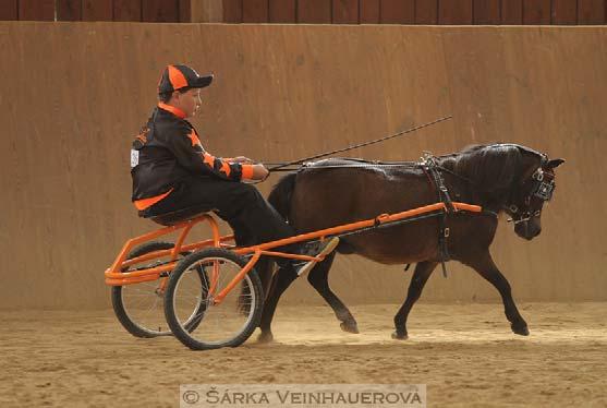 29.Roadster driving junior 2... 30. Trix v.d. Schoolsteeg *15.5.1999 majitel: Cavalletto farm, Eva Véghová handler: Tomáš Végh 12r. 1. Junior roadster driving šampion 34. Yvo * 23.3.2005 majitel: Acro farm J.