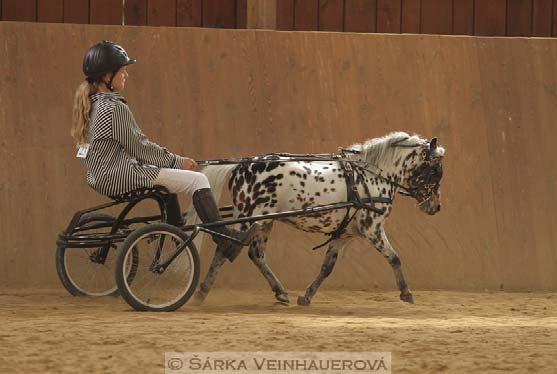 37.Leadrein 1. Leadrein šampion 5. Farabella Gain-Mája * 1.5.2008 majitel: Eva Pecharová handler: Adéla Selyben 3r 2... 6.Ursela v.d. Herdershoeve *30.4.