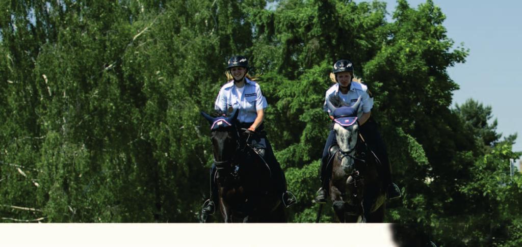 BEZPEČNOST CHCEME Rozšíření kamerového systému a jeho napojení na Městskou policii na veřejných prostranstvích Nasvícení venkovního sportoviště u ZŠ Chodovická Rozšíření veřejného osvětlení v ulicích