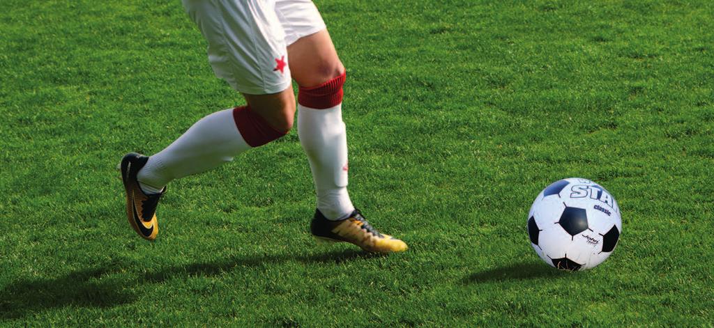KULTURA A SPORT ZAJISTÍME Garant pro oblast sportu Martina Ptáčková Petr Jirgl Vybudování multifunkčního krytého sportoviště splňující parametry vrcholových soutěží, vše ve spolupráci s místními
