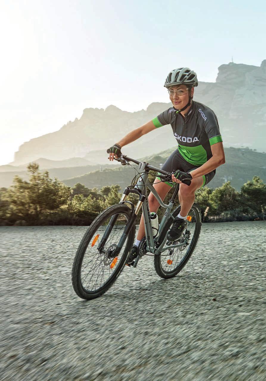MTB LADY Atraktiven dizajn, sofisticirana ergonomija, dobro preizkušena tehnologija in močne zavore.