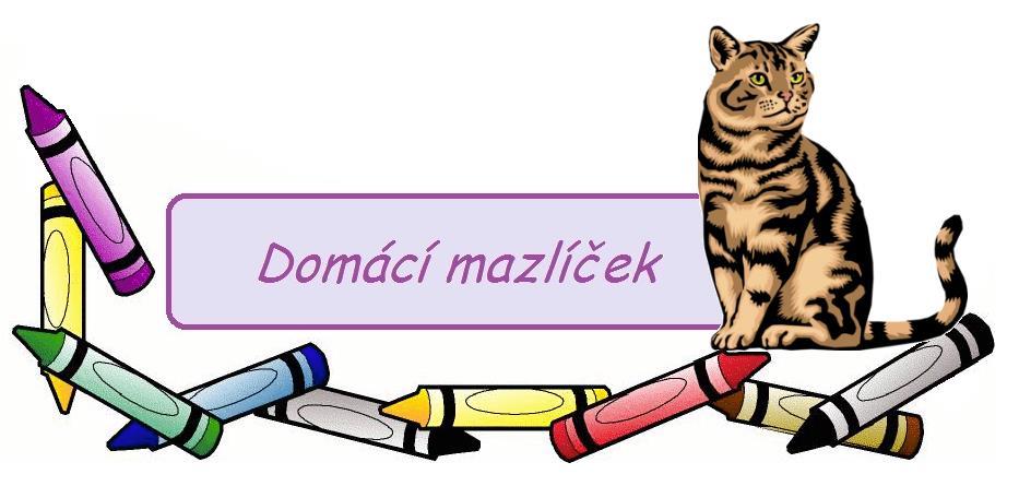 Tudíž jsem si sen mohla splnit až jako dospělá, kdy jsem si spolu s přítelem udělala výlet na Slovensko, abychom si odtamtud dovezli úžasnou zrzavou kočičí holčičku Ginu, která je s námi dosud.