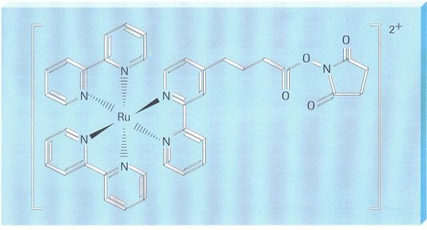 Elektrochemiluminiscence - princip měření Metodika využívá protilátky (případně antigeny) značené ruténium(ii) tris-bipyridylovým komplexem a další protilátky či antigen s navázaným biotinem