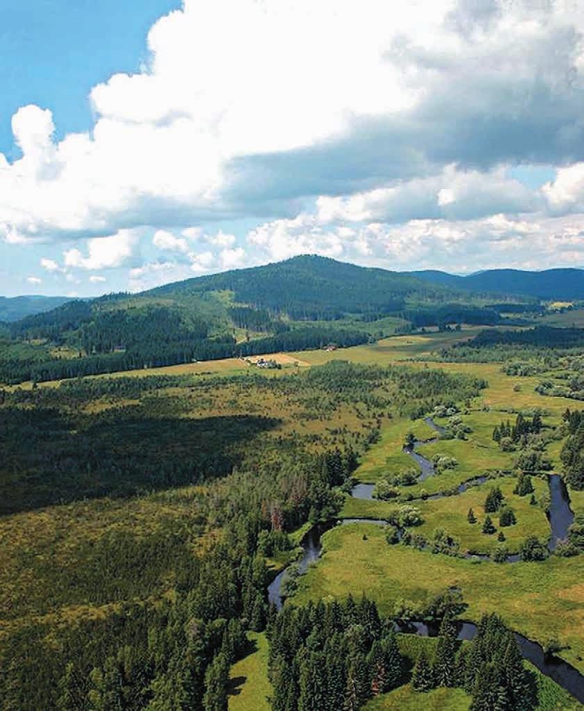 Šumava I Teplá Vltava - rodinné stříbro Šumavy Text Eva Zelenková TEPLÁ VLTAVA rodinné stříbro Šumavy Vltavský luh je řazen k nejcennějším územím Šumavy.