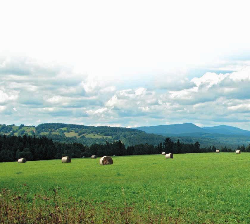 Šumava I Batohy jdou do módy Text a foto Vladimír Silovský BATOHY JDOU Tři dny před Štědrým večerem měla přijít zima. Nepřišla. Už podruhé za sebou. Asi si budeme muset zvyknout.