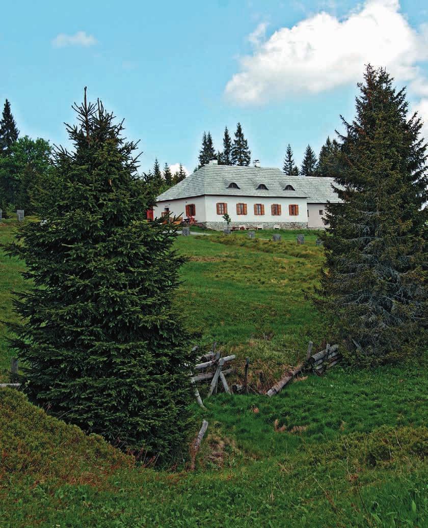 Šumava I Šumavský poutník I. Text Vladimír Just Foto Jiří Kadoch Rozdíl mezi turistou a poutníkem už vlastně vymezil Josef Čapek svou geniální metaforou Kulhavého poutníka.