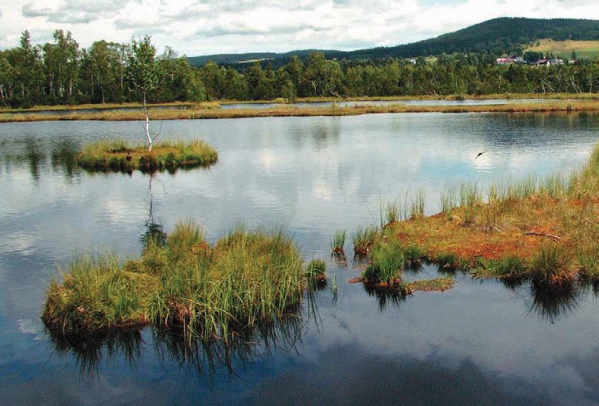 Šumava I Rozhovor s Bedřichem Moldanem Text Radovan Holub ŠUMAVA je velká evropská zahrada Prof. RNDr. Bedřich Moldan, CSc.