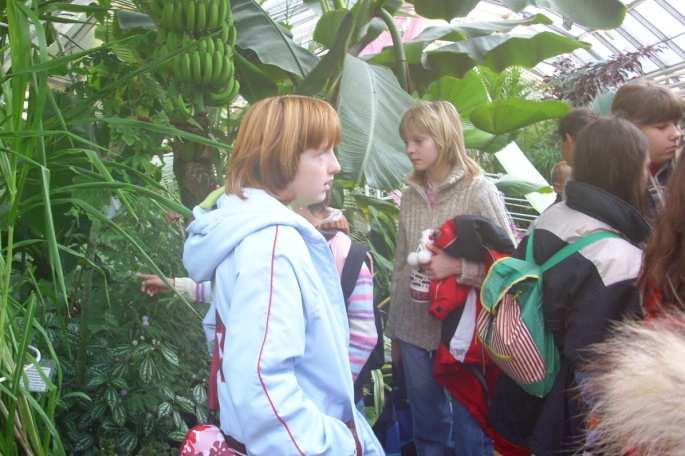 2007