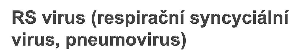 Je vzdáleně příbuzný virům parachřipek RS-virus je významným patogenem dolních cest dýchacích v prvním půlroce života.