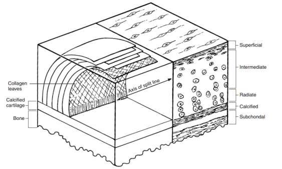 Architektura ECM