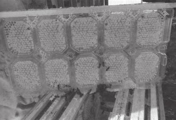 přístrojem k ožehu, čisticím a desinfekčním materiálem a ochrannými pomůckami. Pro fungování přístrojů je nutná elektrická přípojka (alespoň 16 A/400 V) a přívod vody.