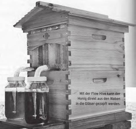 Reklamní trhák čepování medu (Des Cannon; Deutsches Bienen-Journal, 2016, č. 6, str. 18-19) Souhrn: Jsou k dispozici první zkušenosti s úlem typu Flow Hive ze sousedního Německa.