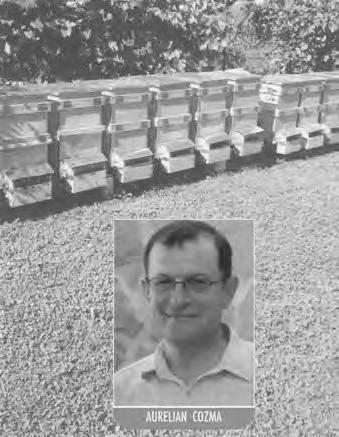 Na včelnici chodí každý týden. Aby nedošlo k vyrojení, chová včelstva na 8 rámcích. Když jdou do silného rozvoje, odebírá rámky, aby vytvořil nová včelstva. včel v úlu.