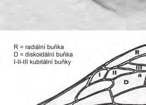 Nyní ale byla řada znaků ovlivněna různými geny, které se také mohly ještě ovlivňovat navzájem mezi sebou.