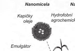 Agrochemické využití nanotechnologií při ochraně rostlin a kontrole škodlivého hmyzu. Zdroj: Nanoengineering: Global Approaches to Health and Safety Issues. Patricia I. Dolez, Elsevier, 2015.
