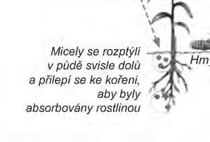 Odhaduje se, že v současnosti počet na celém světě předložených 3000 patentů vztahujících se k nanotechnologiím má potenciál využití v agrochemii.