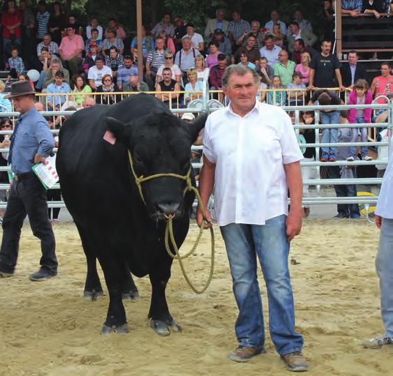 V kategorii jalovic na Angus show v roce 2014 obsadila Zubajda z Rantířova třetí místo. Farma Josefa Dvořáka, Telecí V okrese Svitavy v obci Telecí chová angusy Ing. Josef Dvořák.