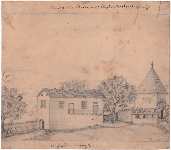 RUKOPISY
