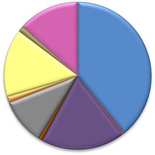 3,20% zdravotnictví 142 000 0,33% 750 000 1,76% státní správa a občanská společnost výroba a dodávka energie obchod a další služby 5 500 000 12,91% 563 029 1,32% 6 998 000 16,43% 4 300 000 10,09% 399