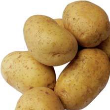 Venkovská tlačenka 12,