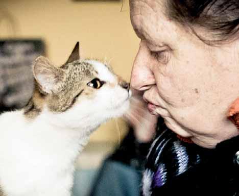 Víme víc... Prostějovský VEČERNÍK, pondělí 31. března 2014 5 anketa Prostějov - Aneta Křížová Jaro už je definitivně tady. Kromě prvního jarního dne máme za sebou už i nastavení hodin na letní čas.
