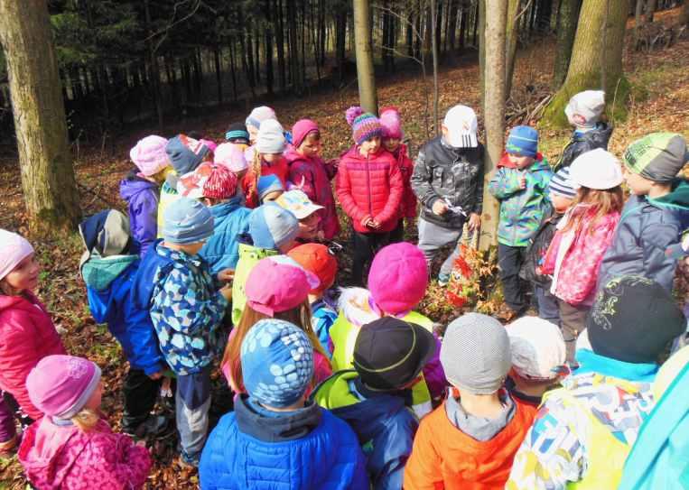 HLEDÁNÍ VELIKONOČNÍHO ZAJÍCE Sluníčko nám ukázalo svoji tvář a děti z mateřské školy se vydaly hledat velikonočního zajíce. "Ale kudy za ním? Jak ho najdeme?