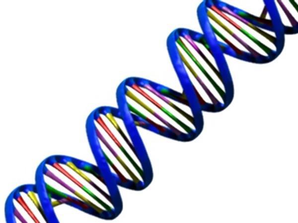 Afinitní biosenzory Založené na selektivním vázání analytu do struktury biomolekuly Měřen elektrický signál způsobený vznikem interakce či vazby Vysoce citlivé a selektivní Imunobiosenzory - založené