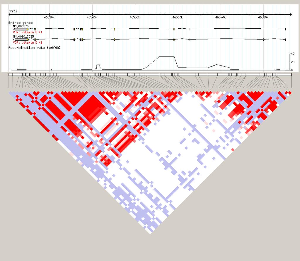Haploview: