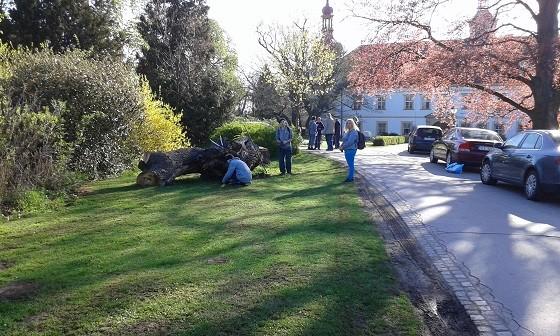 Velk podl na tom m nalezen vhodnch a levnjch technic- kch een a seznamovat je se zkladnmi principy no- vinsk seniorky provdly zjemce skalmi pi plstn vlny, agentura To- Velk Heraltice. 13 8. 4 Pehled investic na rok 2020 15 romovy dti 24 Havrie