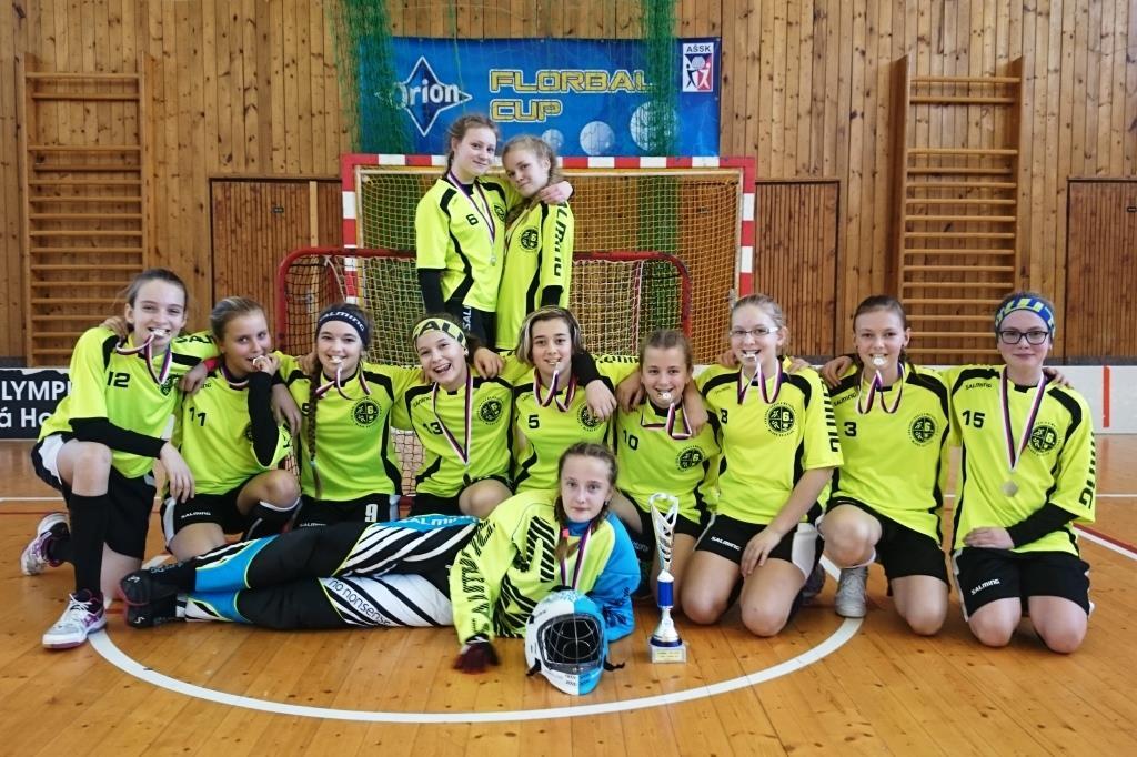 Po vítězném tažení v okresních kolech florbalových turnajů ZŠ máme za sebou i krajská kola.